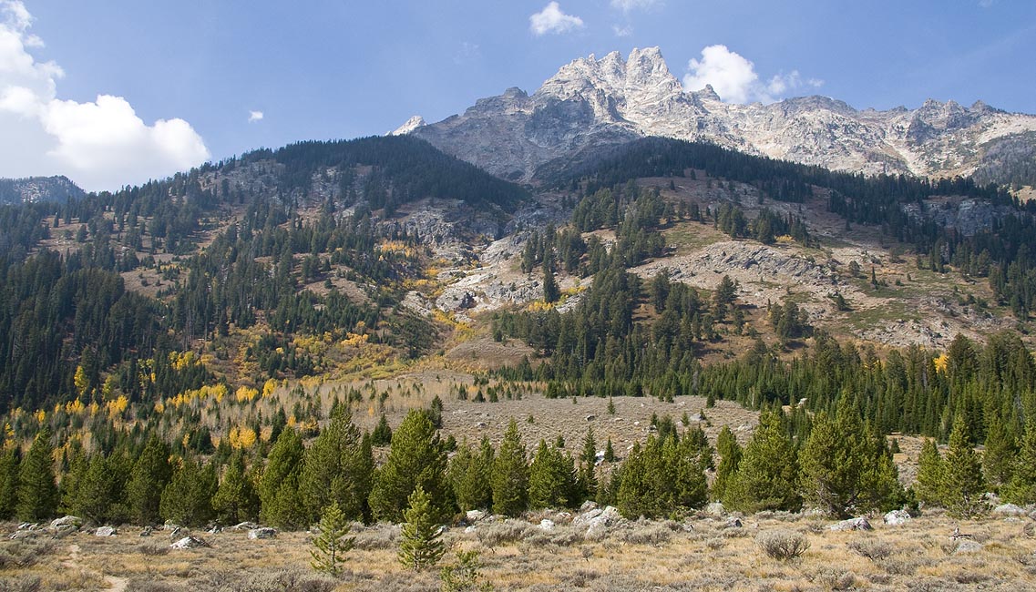 Mountain Slopes