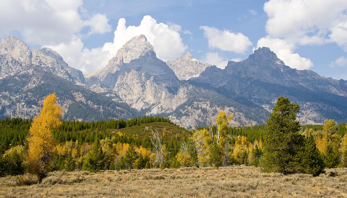 the Tetons