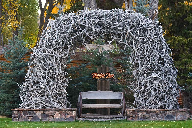 Antler Arch