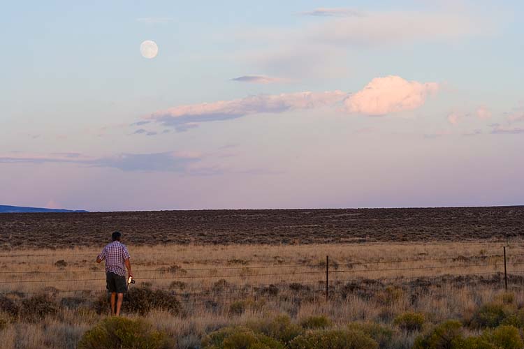 Full Moon Over the Plains