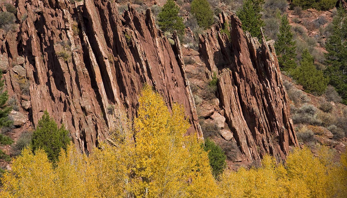 Red Cliffs and Golden trees