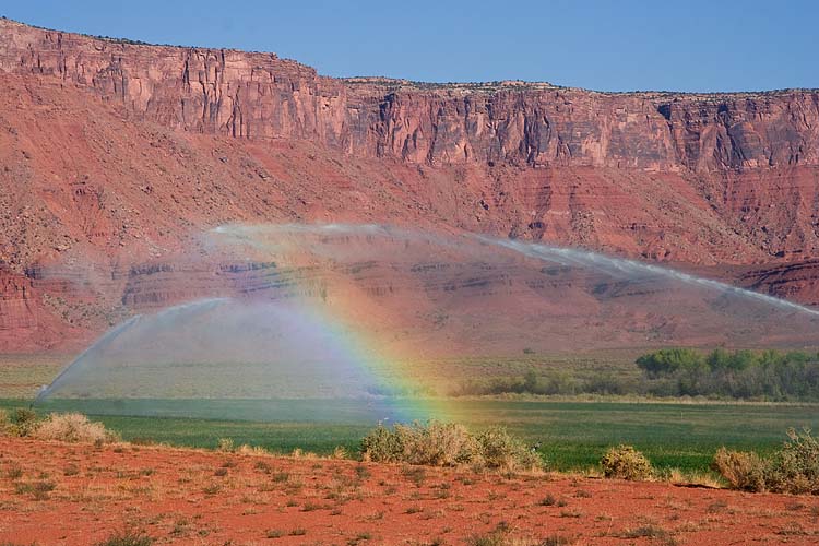 Rainbow Irrigation