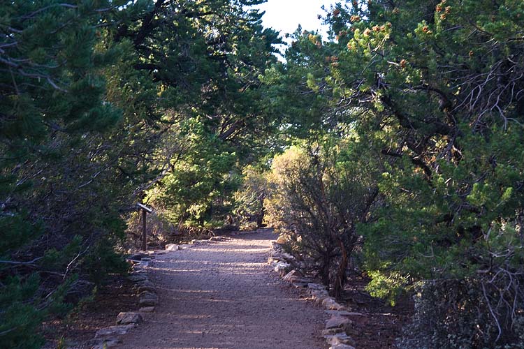 Trail to Cape Royal Overlook