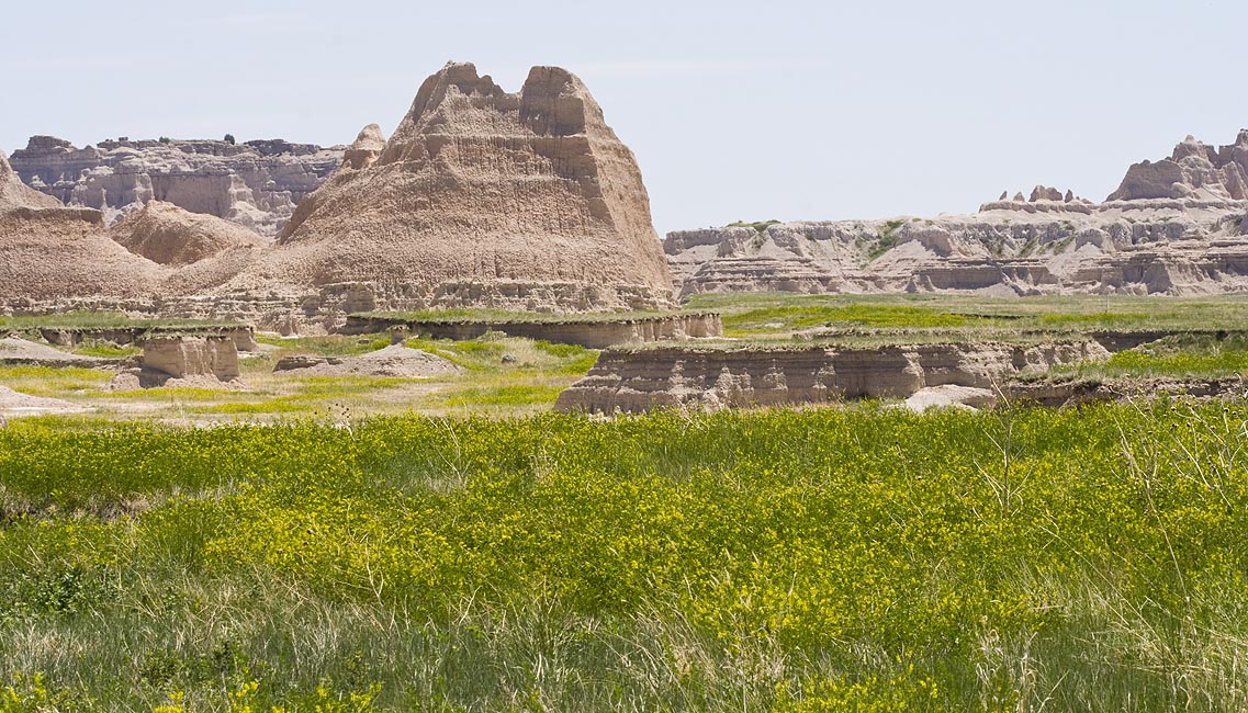 Into the Badlands