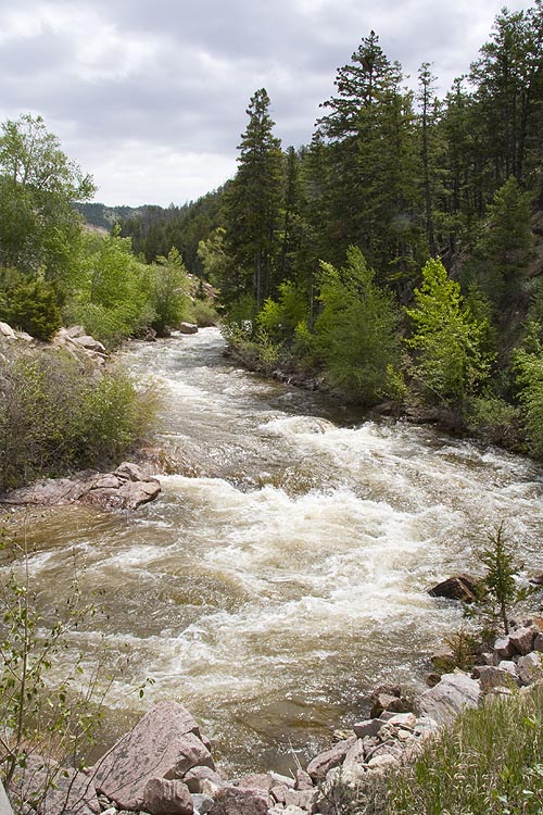 Swollen with Spring Run-Off