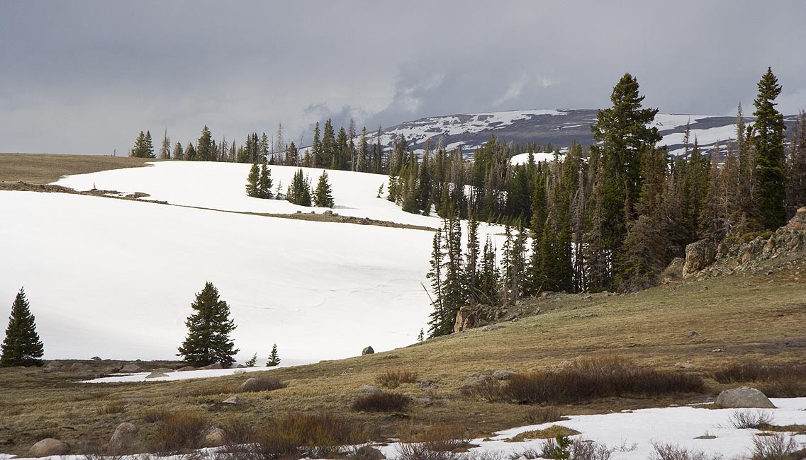 Beautiful Snowy Landscape