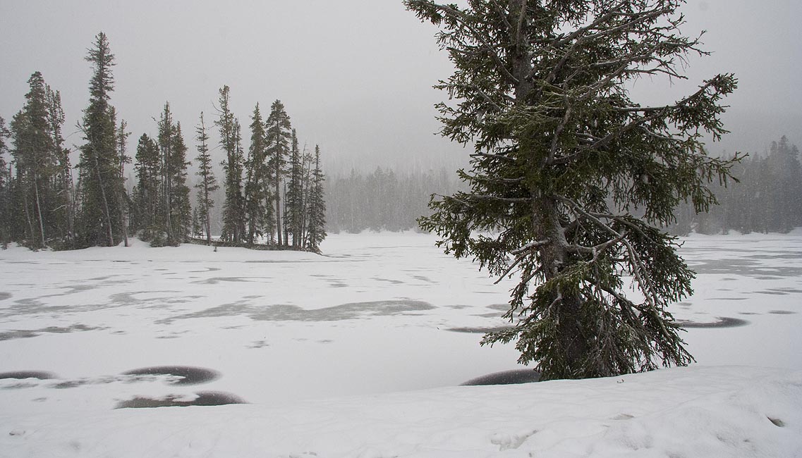 Frozen Lake