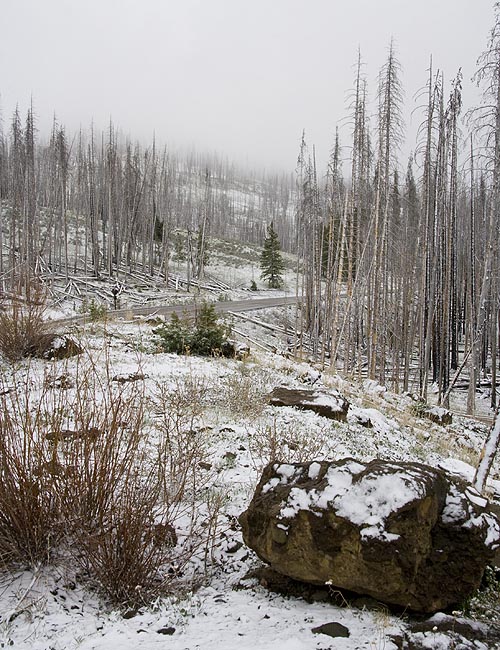 Light Dusting of Snow