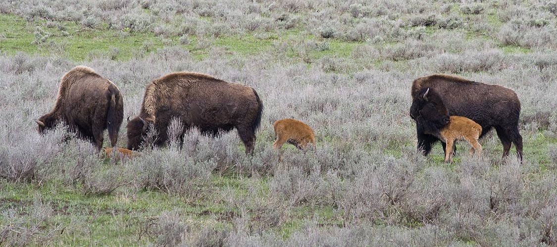 Mothers with Babies