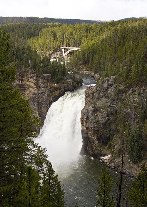 Upper Yellowstone Falls