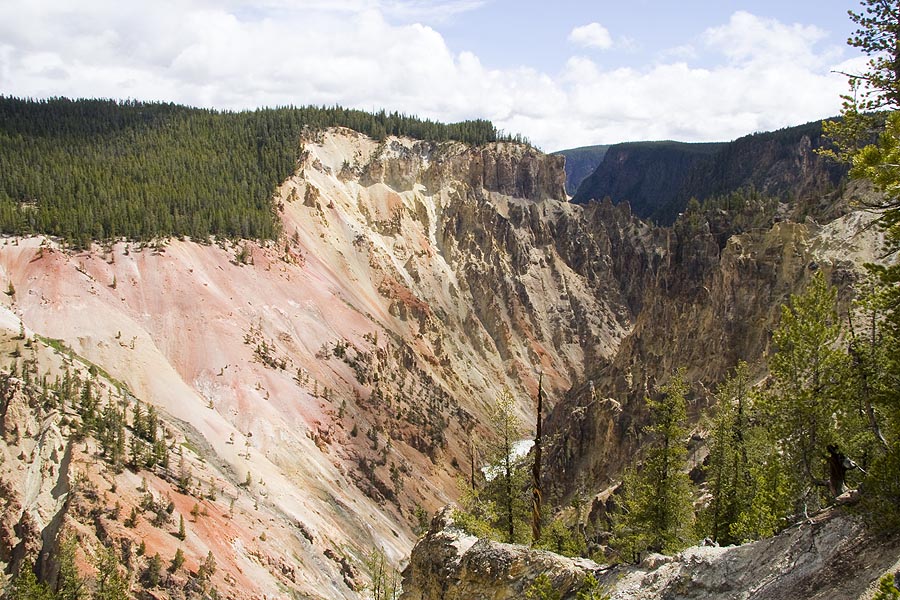 Canyon Panorama