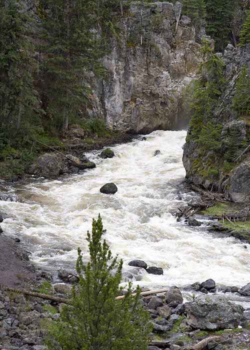 Firehole River  