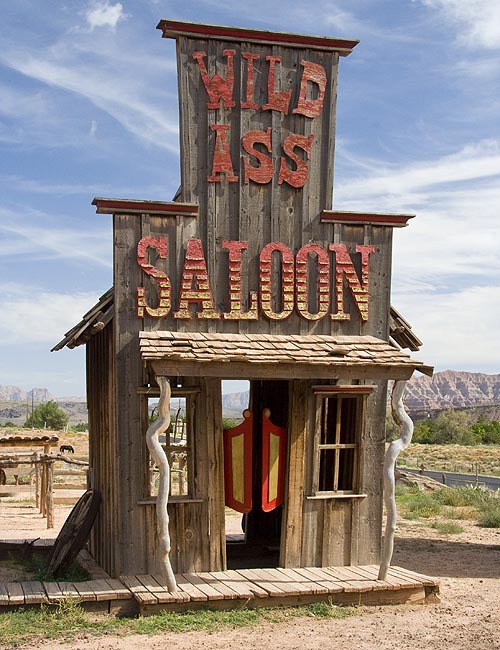 Wild Ass Saloon