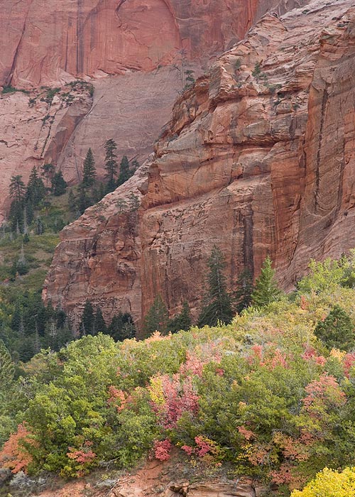Close-Up of the Cliffs with the Coloured trees