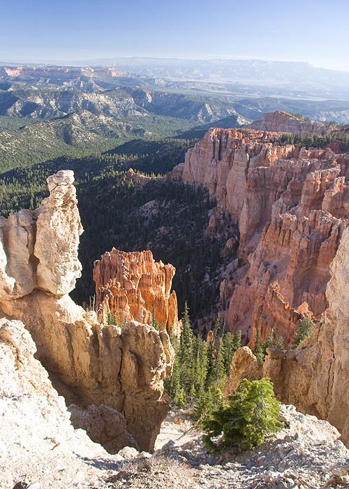 View from Black Birch Canyon Overlook