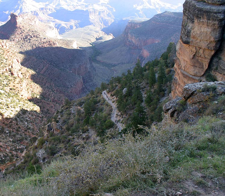 Trail Into the Canyon