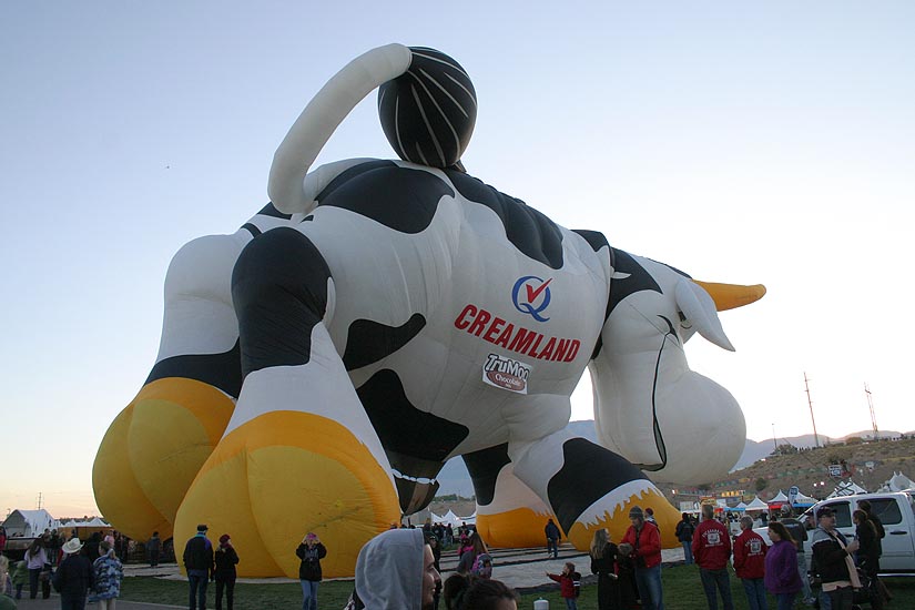 Inflating the Cow