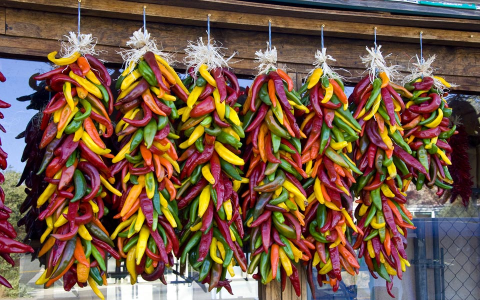 Multi-Coloured Chilis