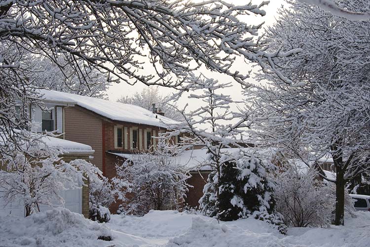 Winter Wonderland