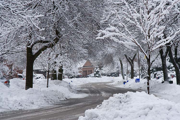 Snowy Street