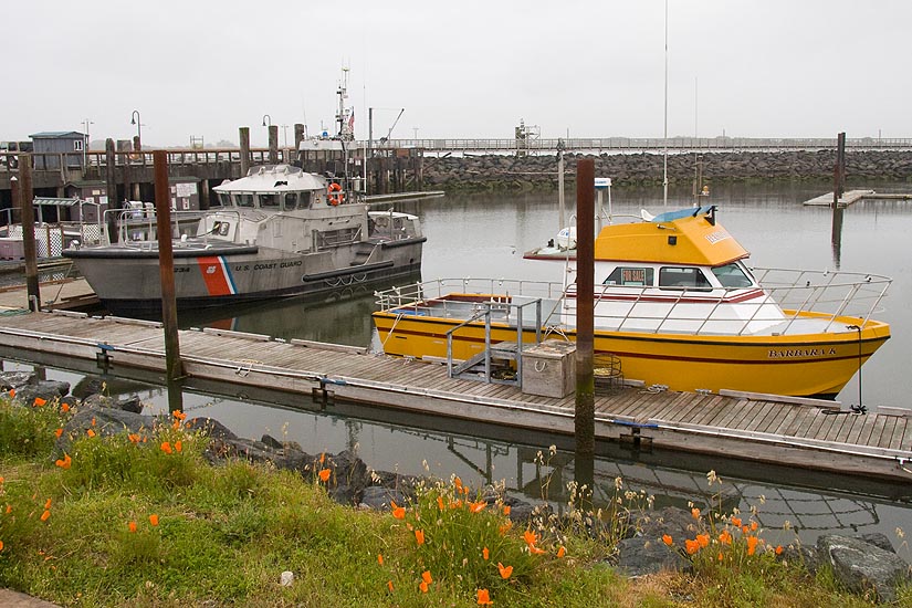 Bandon Harbour
