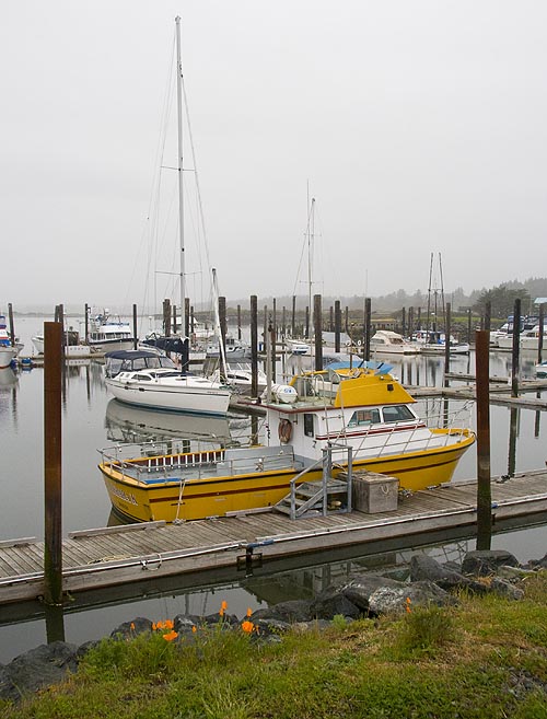 Another View of the Boats