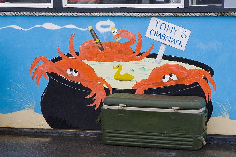 Crabs in a Pot
