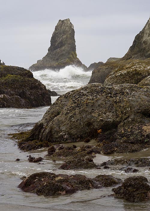 Stormy Seas