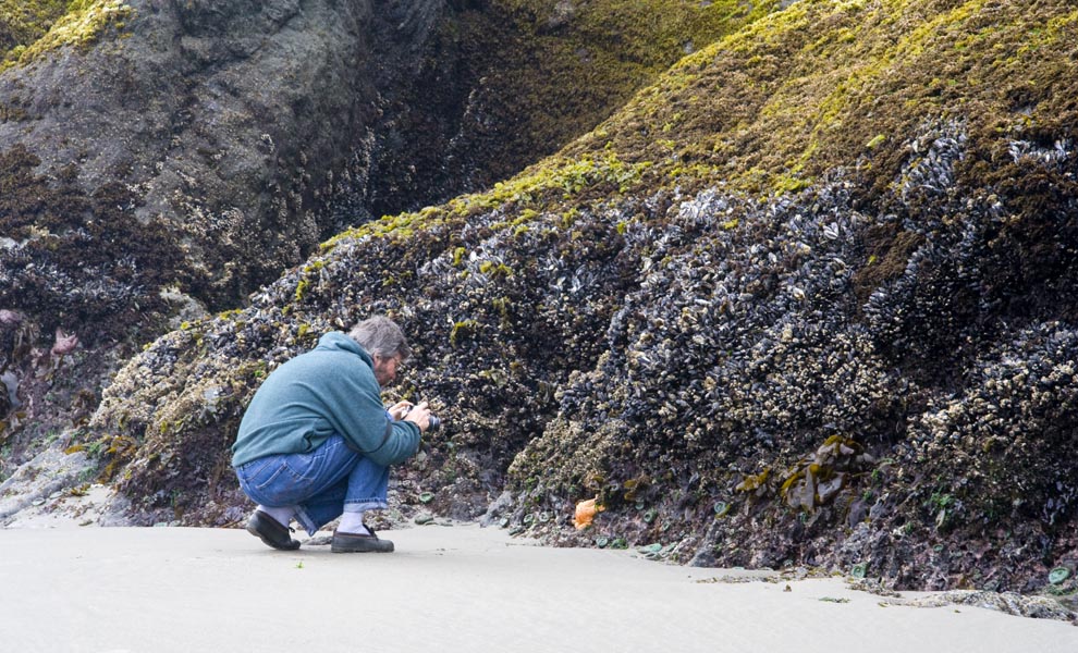Taking a Photo