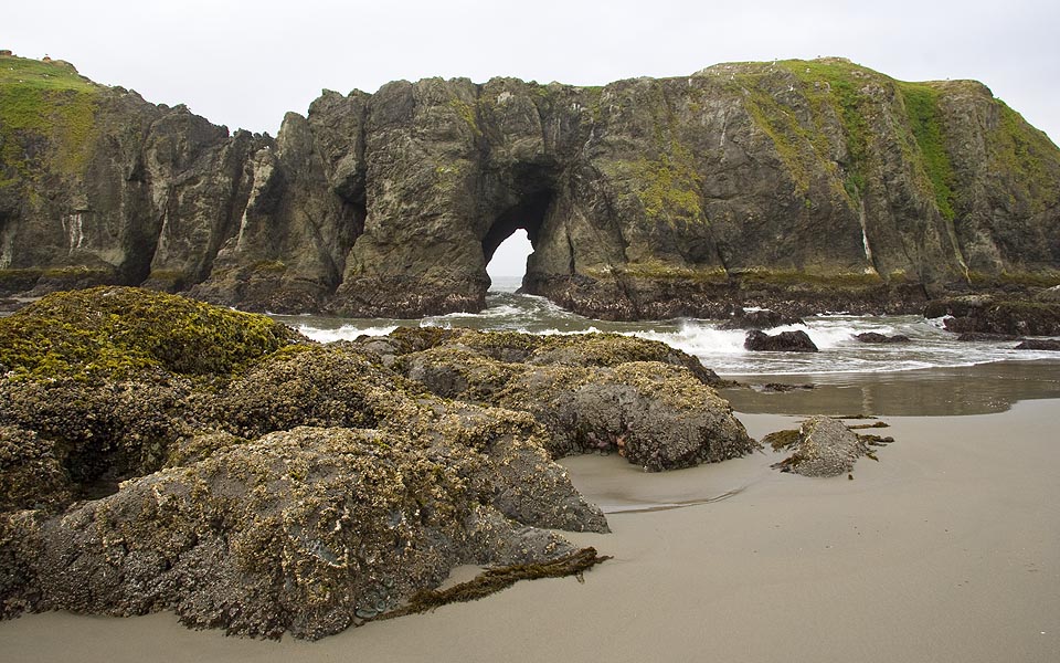 Waves Surging Through Hole in the Rocks