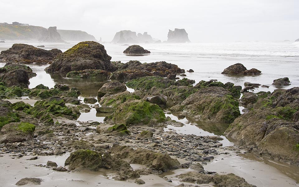 Rocky Tide Pools
