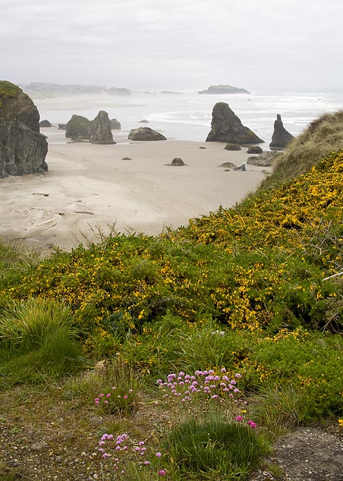 Last View of Bandon Beach