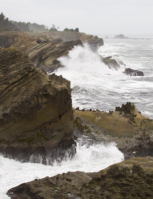 Wild Waves
