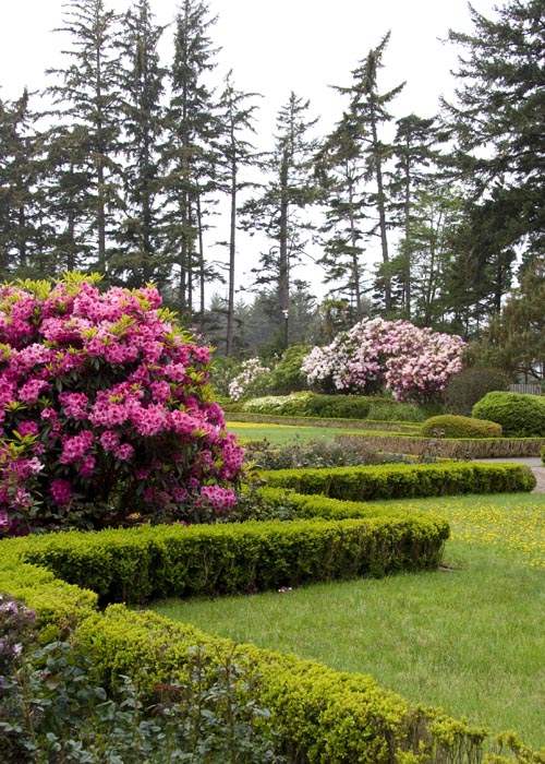 Boxwood Borders