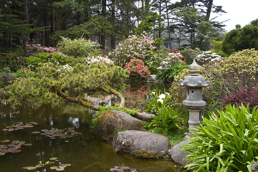 Japanese Garden