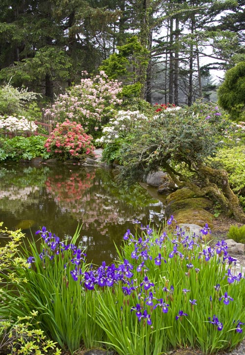 Pool Surrounded by Azaleas and Irises
