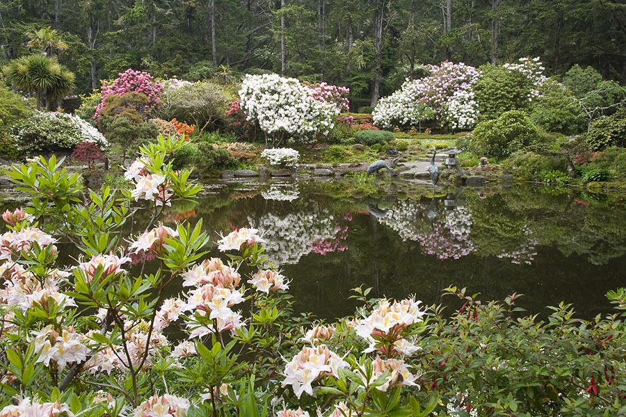 Reflecting Pool