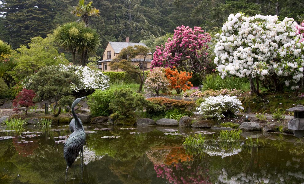 View of the Upper Gardens from the Reflecting Pool