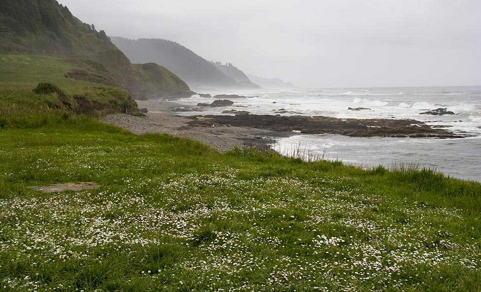 the Shoreline Looking South
