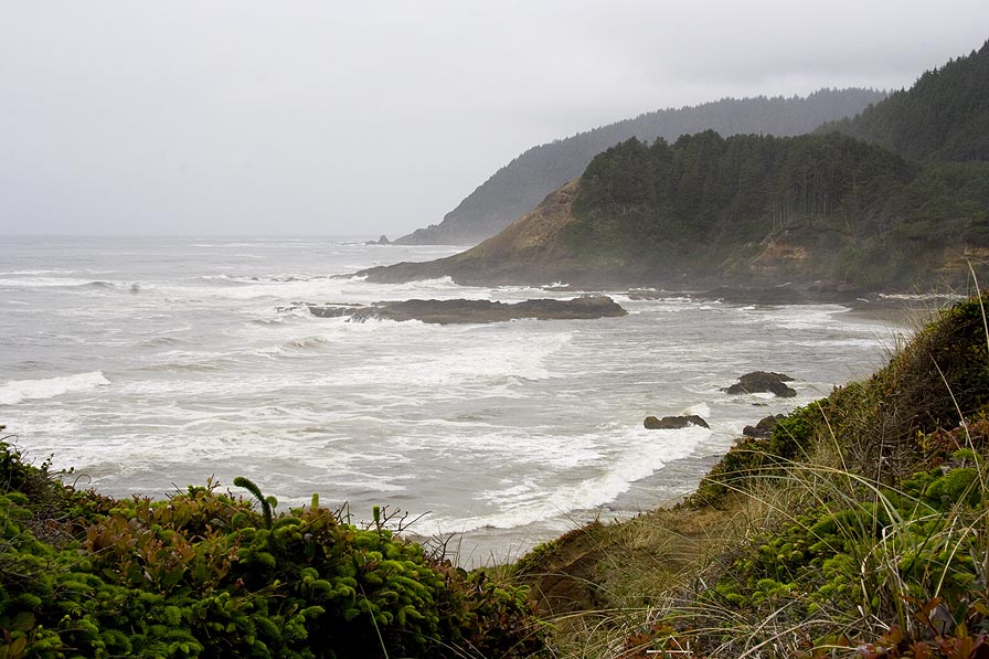 Rugged Coast 