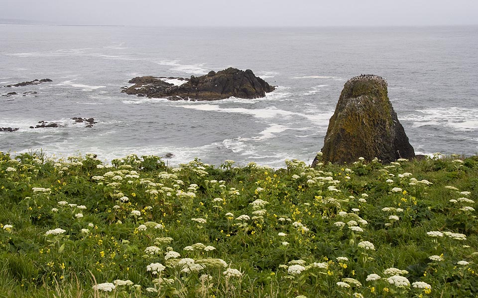 Rocky Islands, and Cow Parsnips
