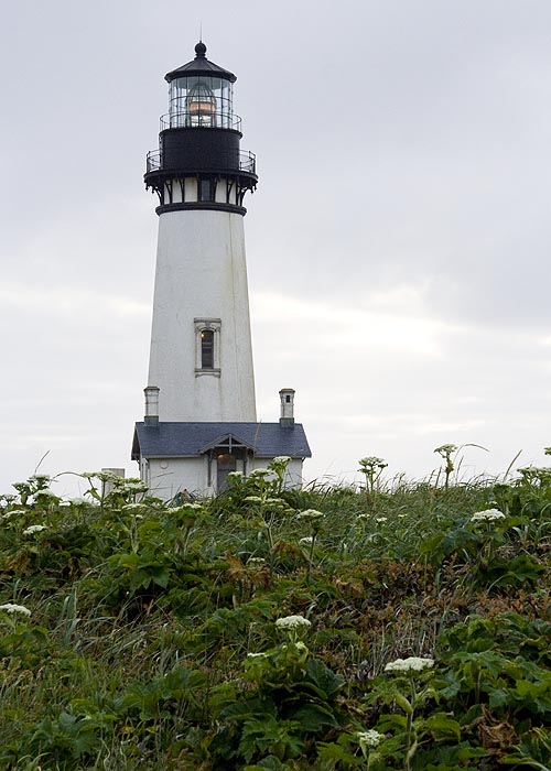 Last Look at the Lighthouse