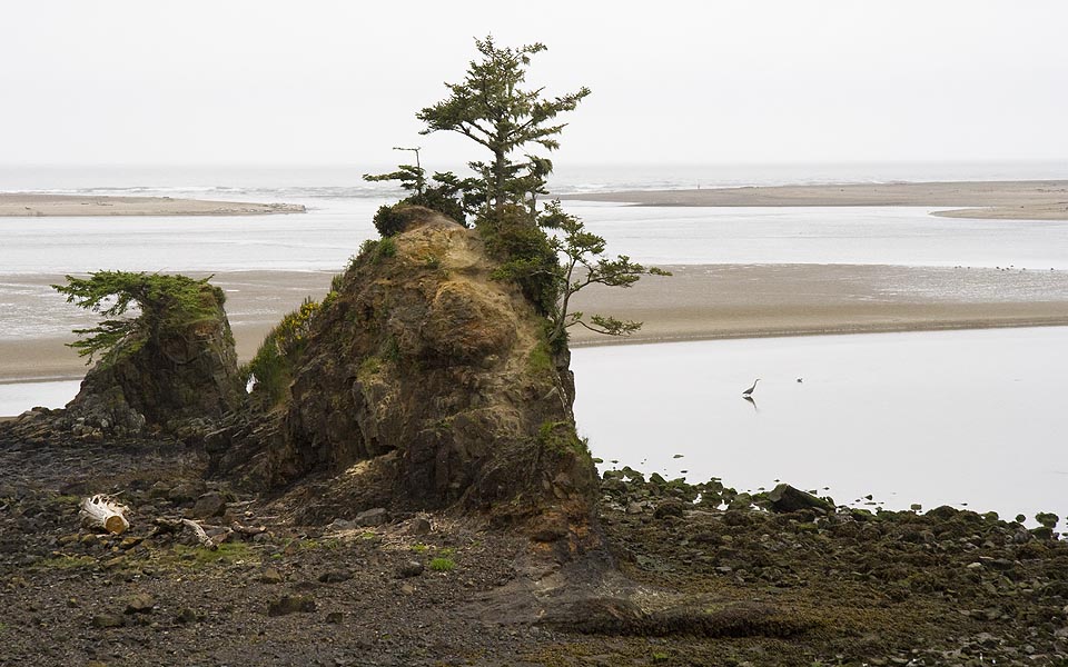 Heron at Low Tide
