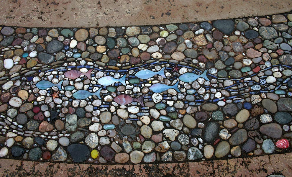 A School of Little Fish