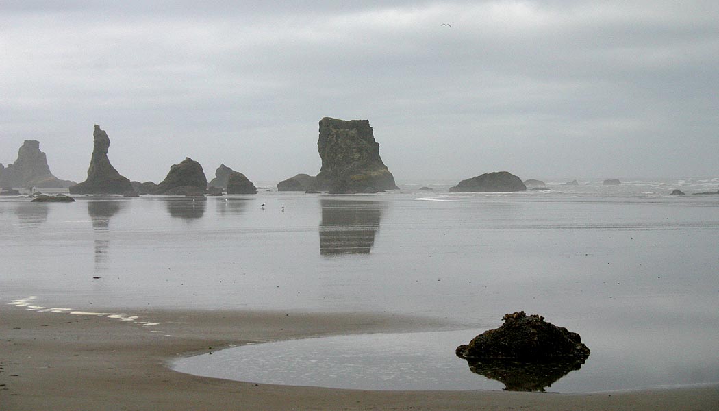 Reflections in the Incoming Tide