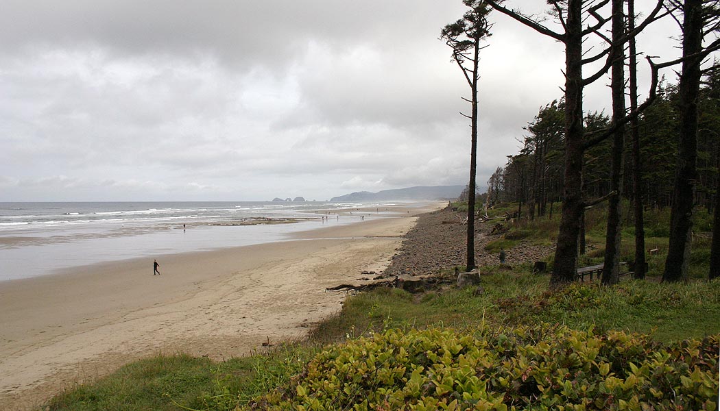 View Up the Beach at Cape Lookout