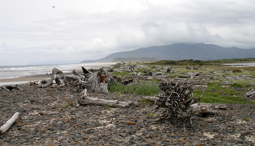 Coast, Cape Meare
