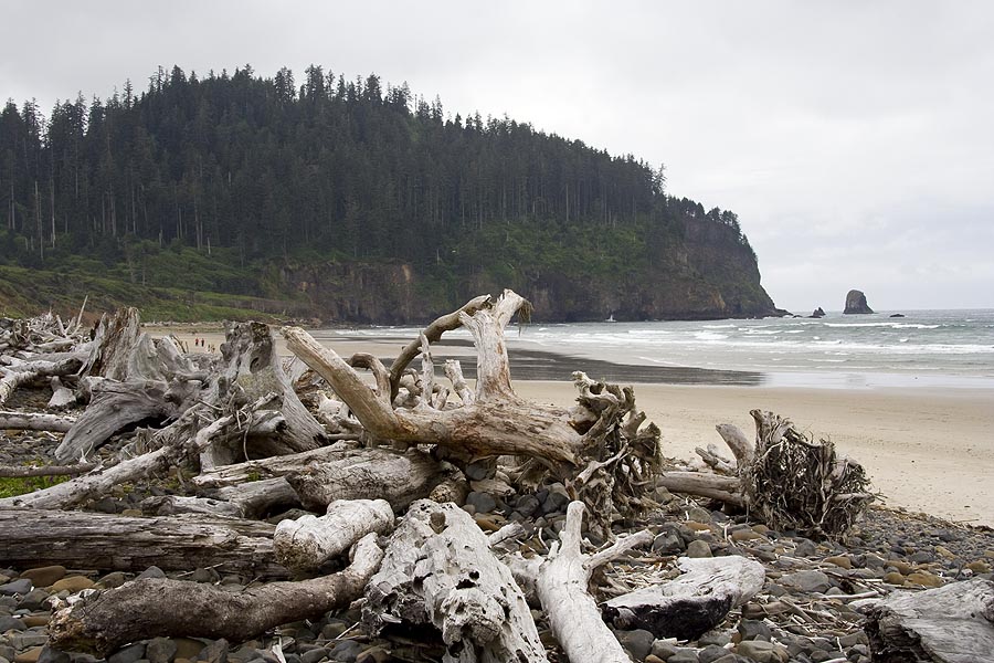 Cape Meare  