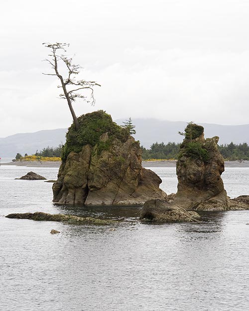 Closer Look at the Sea Stacks