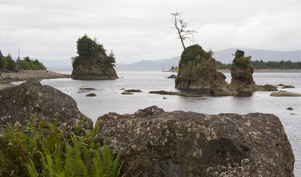 Sea Stacks, Bayview Oregon